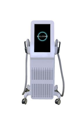 ماشین محرک عضلانی حرفه ای ماشین EMS 2000W برای رشد عضلانی