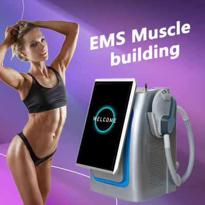 150 هرتز فرکانس EMS دستگاه لاغری حرفه ای برای تقویت عضلات / سوزاندن چربی