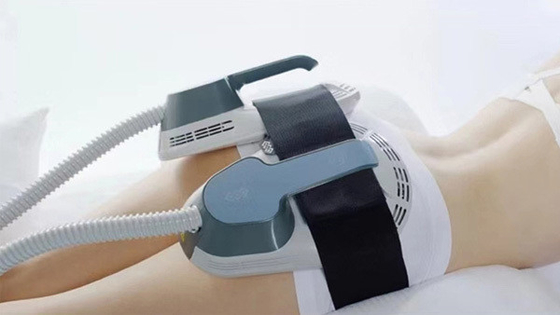 دست ها هدف دستگاه سوزنده چربی EMS RF، ماشین بدن EMS خانگی